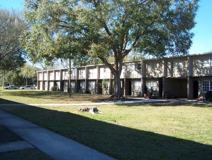 Nordica Psalms - Photo 1 of 1