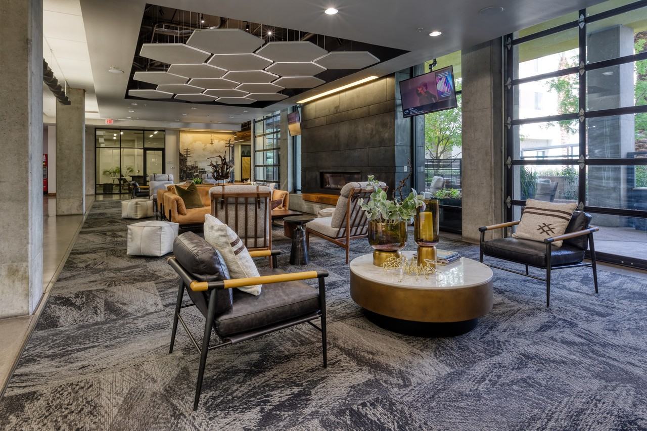 Agave 350 - Photo 6 of 24