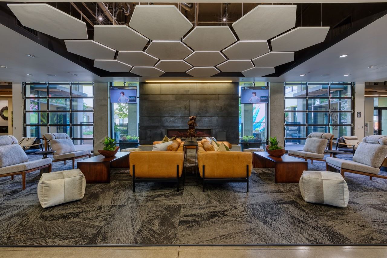 Agave 350 - Photo 7 of 24