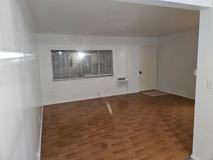 Flora - Photo 1 of 1