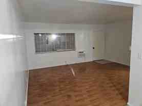 Flora - Photo 1 of 1