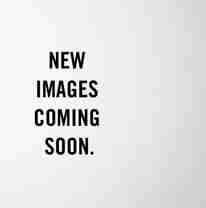 1001-1021 Chicago Street SE - Photo 1 of 1