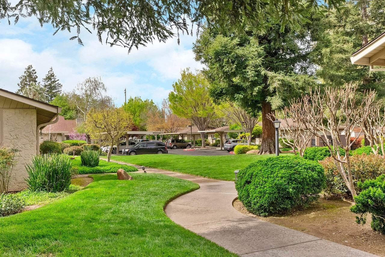 Cedar Springs - Photo 2 of 2