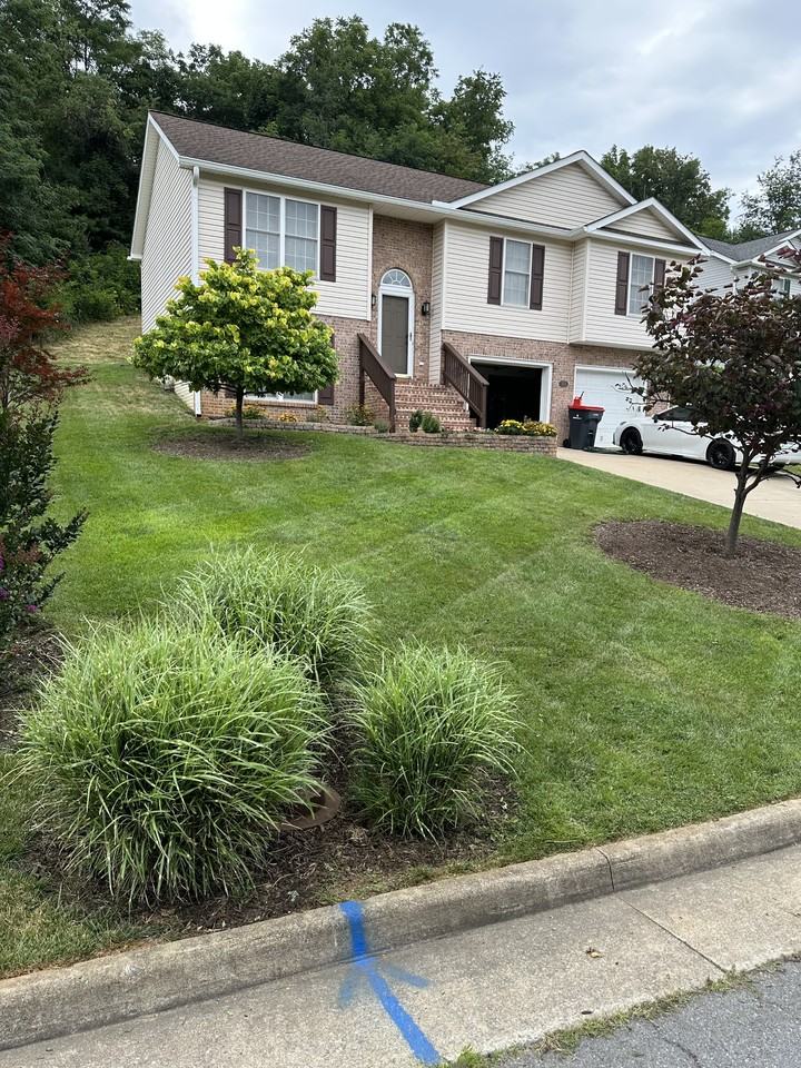 103 Mummert Cir #NA - Photo 2 of 29