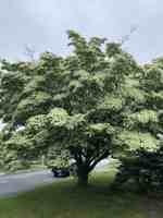 featured image of 70 Revere St #NA