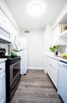 Gazebo Apartments (Denton, Tx) - Photo 1 of 1