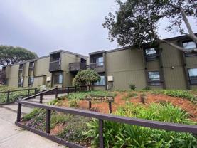 Welcome Home to 412 Dela Vina Avenue, Monterey! - Photo 1 of 1