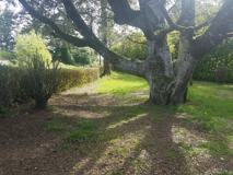 90921 Libby Ln - Photo 1 of 1