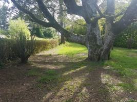 featured image of 90921 Libby Ln