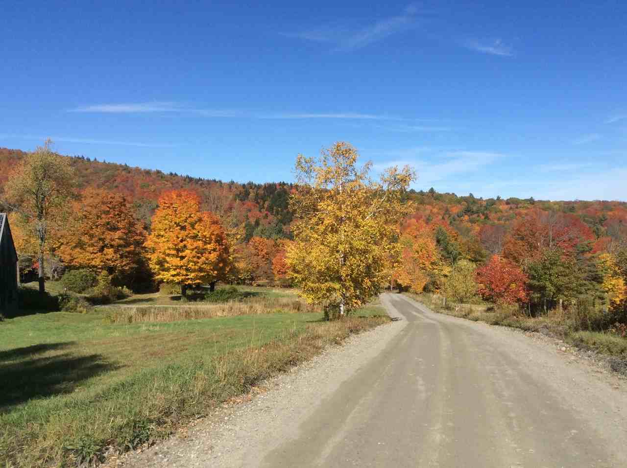 618 Shearer Hill Rd - Photo 6 of 13