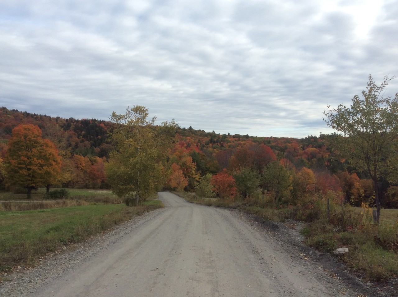 618 Shearer Hill Rd - Photo 2 of 45