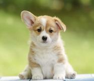 S Main St - Photo 1 of 1