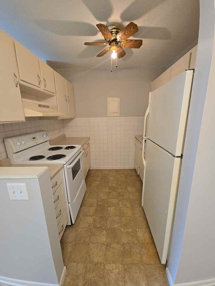 804 Ruth Ann Drive - Photo 2 of 20