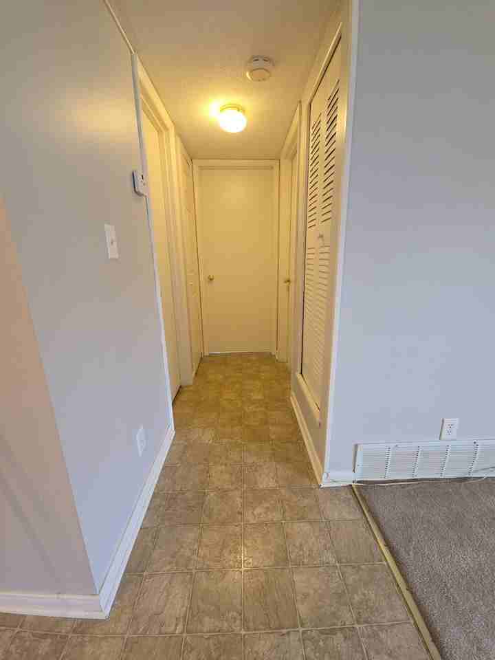 804 Ruth Ann Drive - Photo 3 of 20