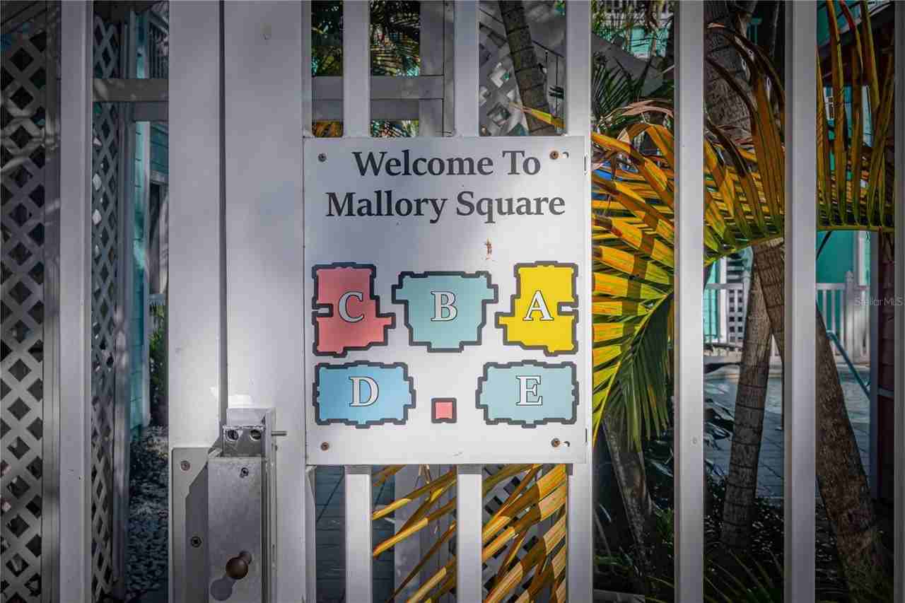 3002 West Cleveland Street #B11 - Photo 4 of 34