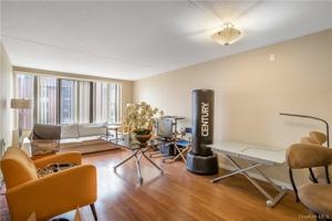 featured image of 4 Martine Ave #809