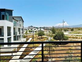 featured image of 283 Lynx