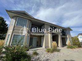 featured image of 118 Clubhouse Cir #201