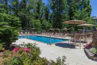 100 Vista Lake Dr #206 - Photo 1 of 1