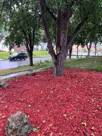 1362 Danforth St - Photo 2 of 15