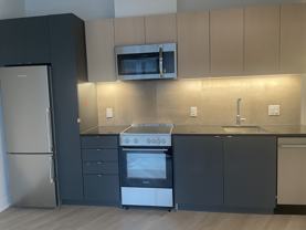 2114 Rue Sainte-Catherine Est #710 - Photo 1 of 1