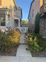 122 Yellow Daisy - Photo 1 of 1