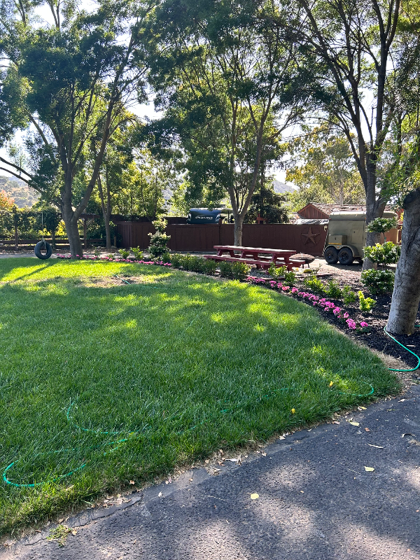 155 Madrone Avenue - Photo 2 of 14