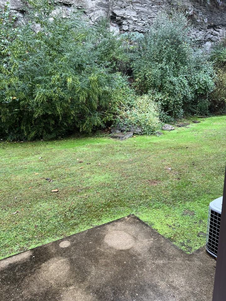 239 Haywood Ln #A - Photo 7 of 15