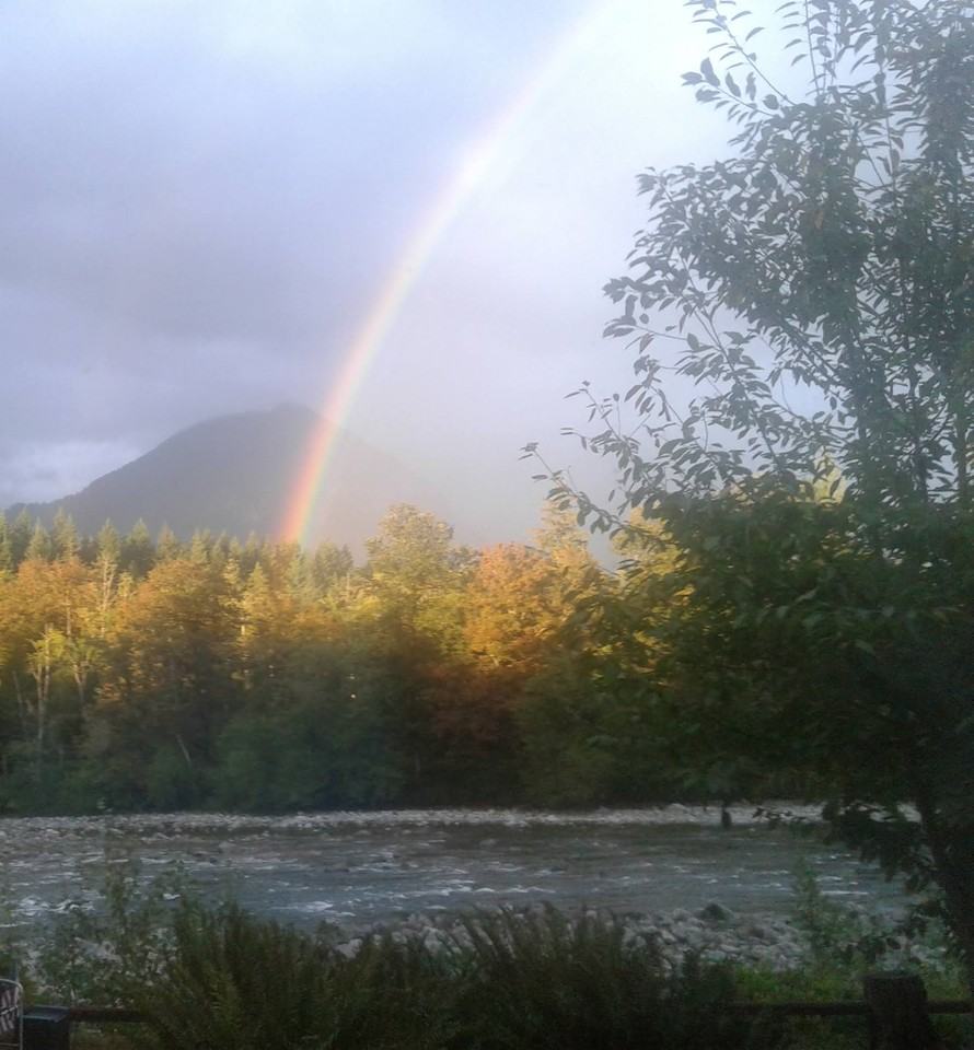 17811 433rd Ave Se #NA - Photo 3 of 19