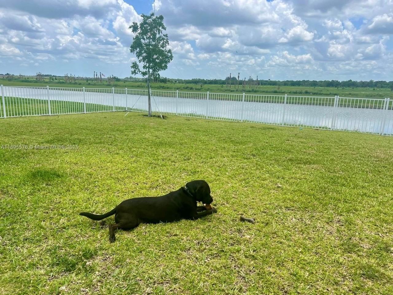 974 Bent Creek Dr #974 - Photo 3 of 22