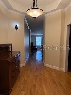 1027 Orca Ct - Photo 3 of 14