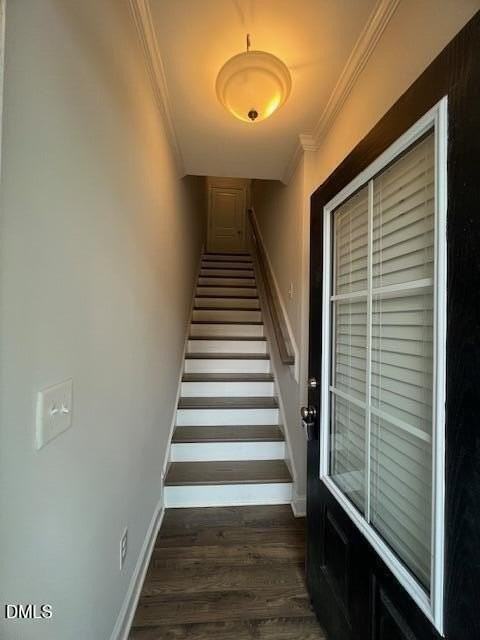 2819 Macbeth Ln - Photo 3 of 50