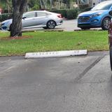 1920 Sabal Palm Drive #403 - Photo 1 of 1