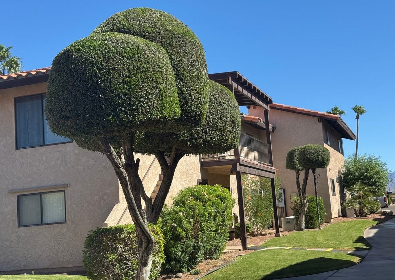 201 Riverfront Drive #4 - Photo 5 of 37