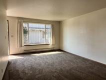 OWN862 - Photo 1 of 1