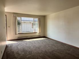 OWN862 - Photo 1 of 1