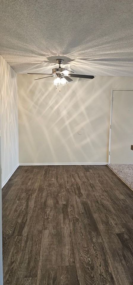 CASA COLIMA APARTMENTS - Photo 6 of 50