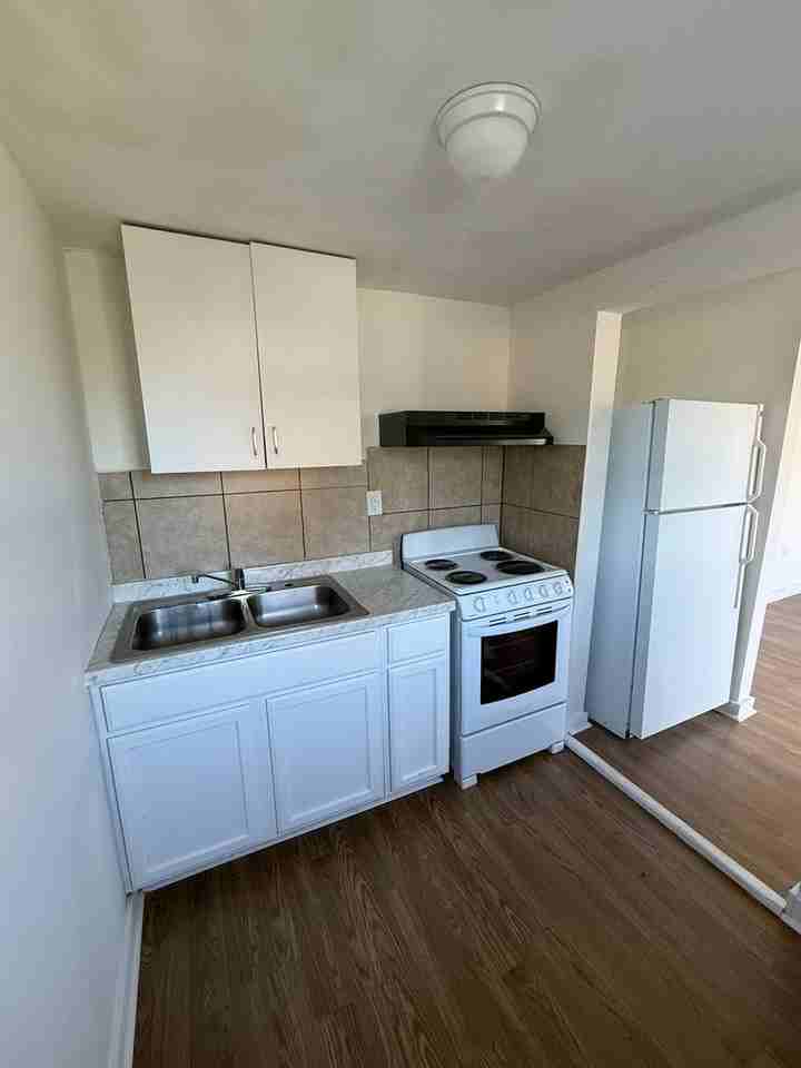 917 Askin St - Photo 3 of 4