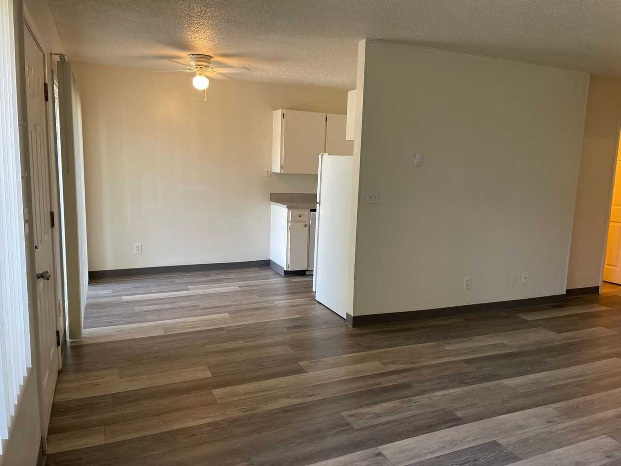 S815 - Star Apartments - Photo 6 of 50