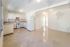 featured image of Waipahu St