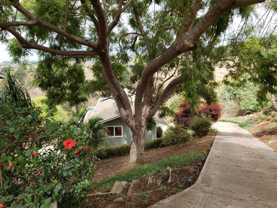 2664 Lower Kula Rd - Photo 1 of 1