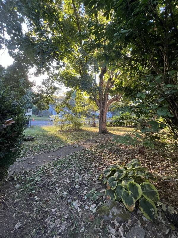 2610 Flamingo Dr - Photo 3 of 15