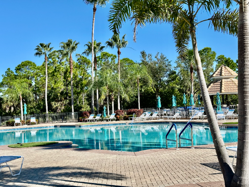 11901 Tempest Harbor Loop - Photo 3 of 20