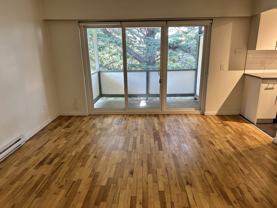 1255 Grant St #302 - Photo 1 of 1