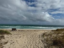 featured image of 2020 Coral Reef Dr