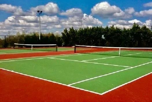 1616 Windsor Ct #NA - Photo 7 of 10