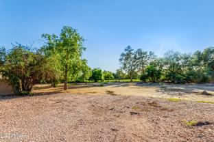 5739 E Cactus Rd - Photo 1 of 1