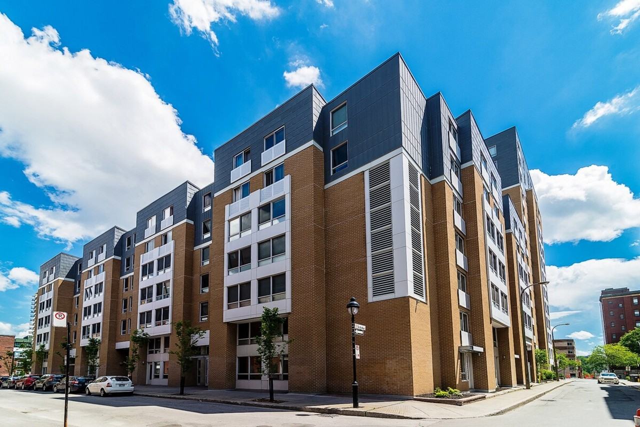 1197 Rue Saint-Dominique #1261809P - Photo 7 of 28