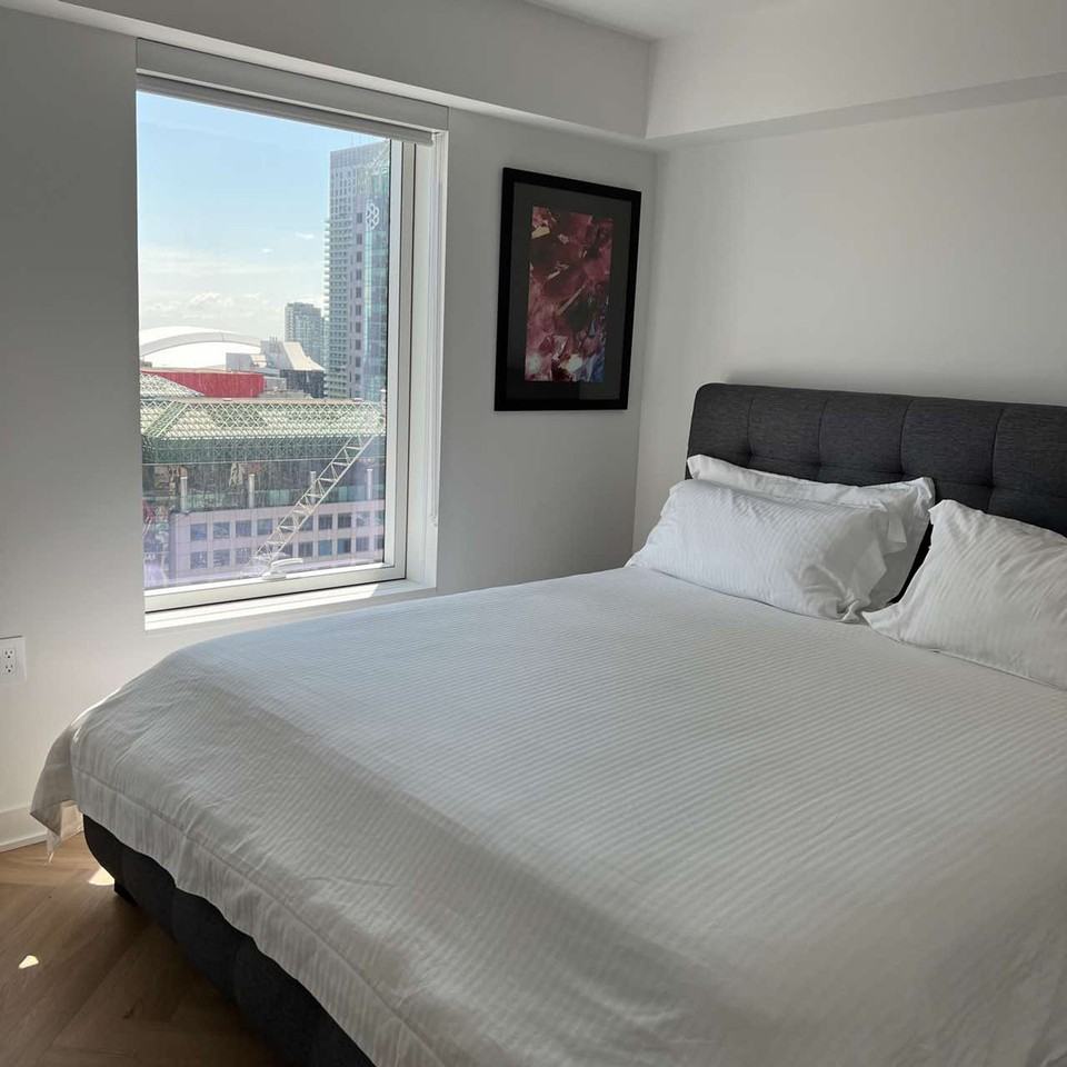 225 Adelaide Street West #1271783P - Photo 7 of 13