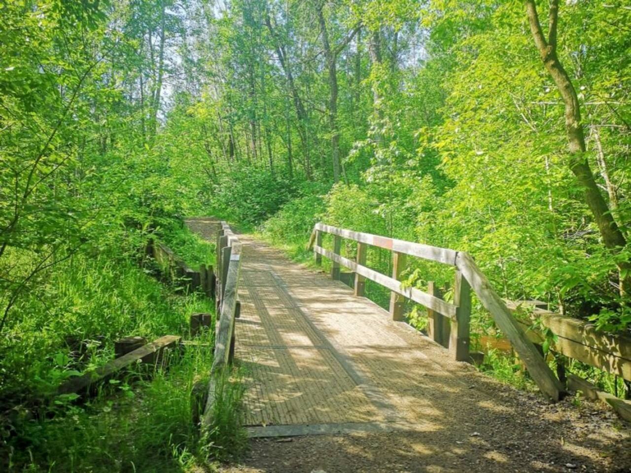 10751 92 St Nw #1308636P - Photo 4 of 29